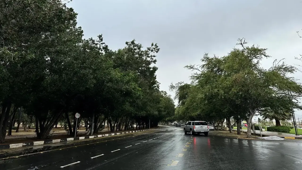 طقس متقلب وأمطار رعدية مصحوبة برياح نشطة تضرب 9 مناطق في المملكة